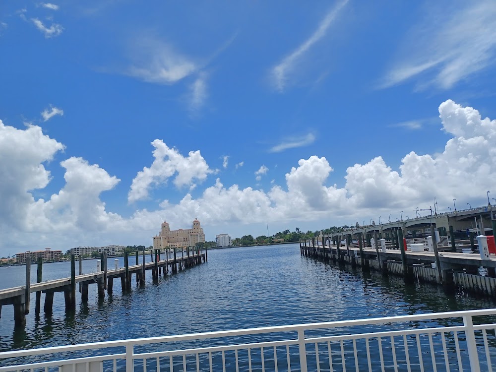 Imagen de la galería 10