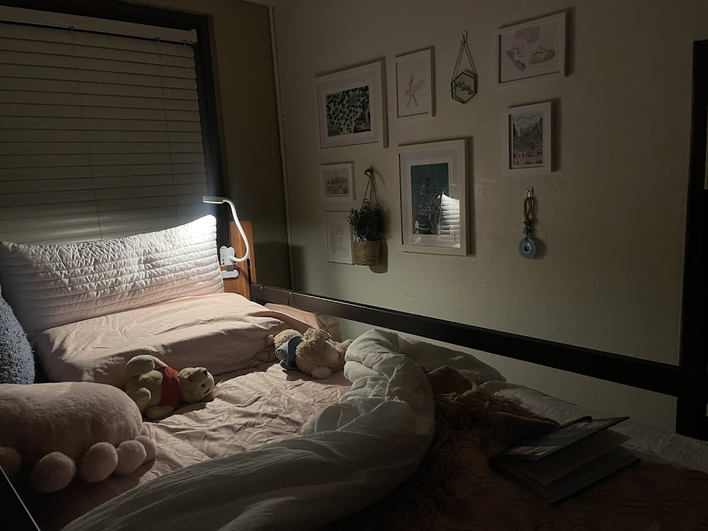 Imagen de la galería 1
