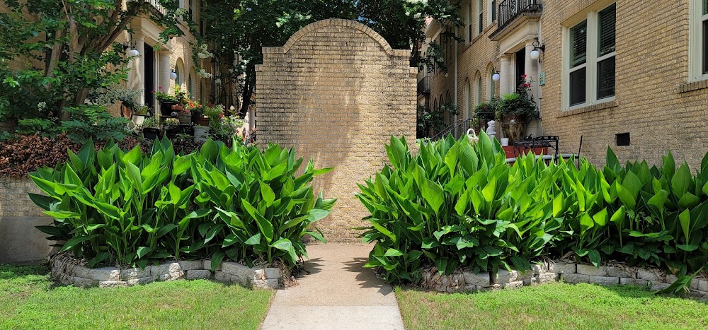 Gallery Image 8
