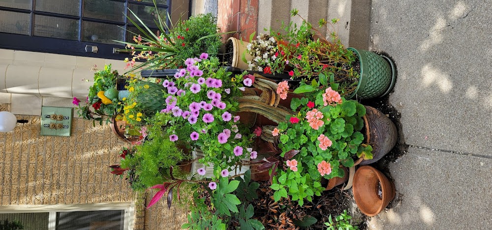 Gallery Image 6