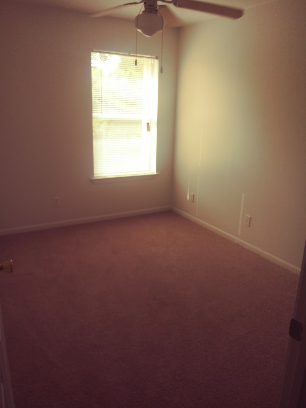 Imagen de la galería 1