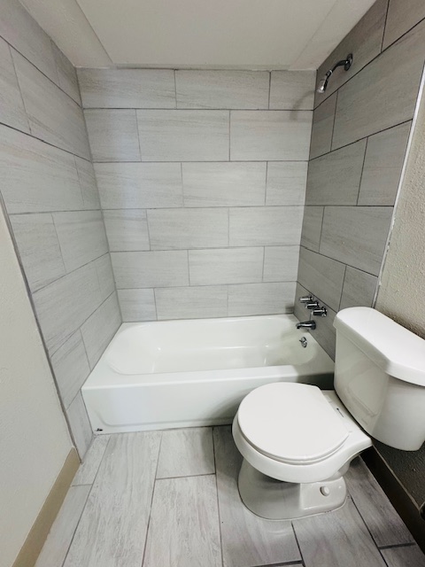 Imagen de la galería 6