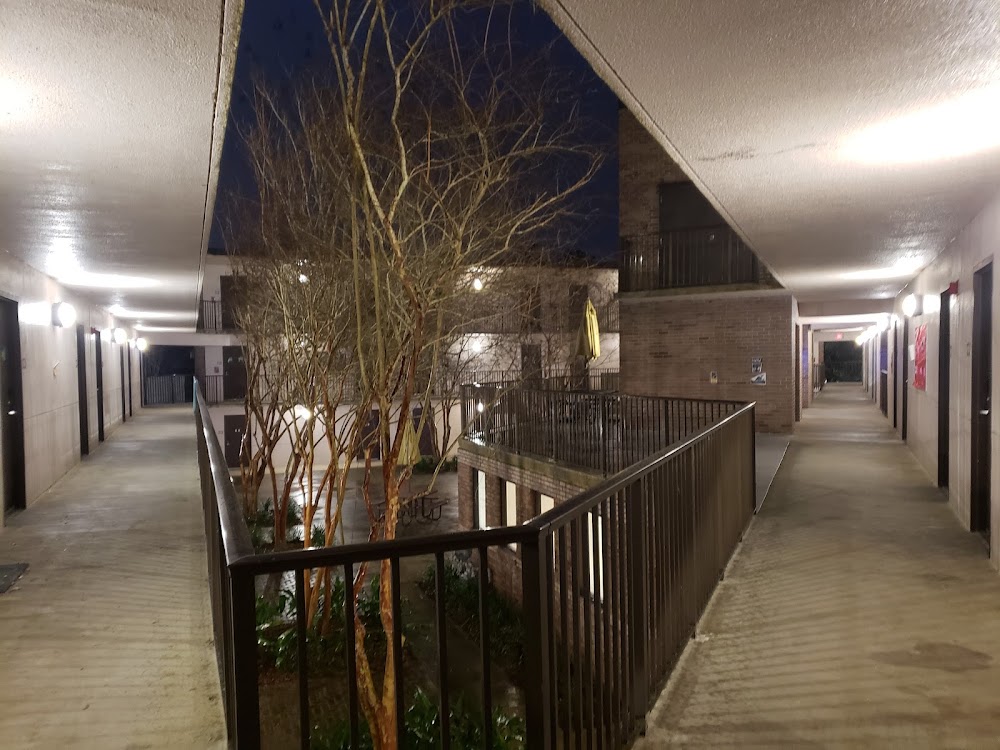 Imagen de la galería 4
