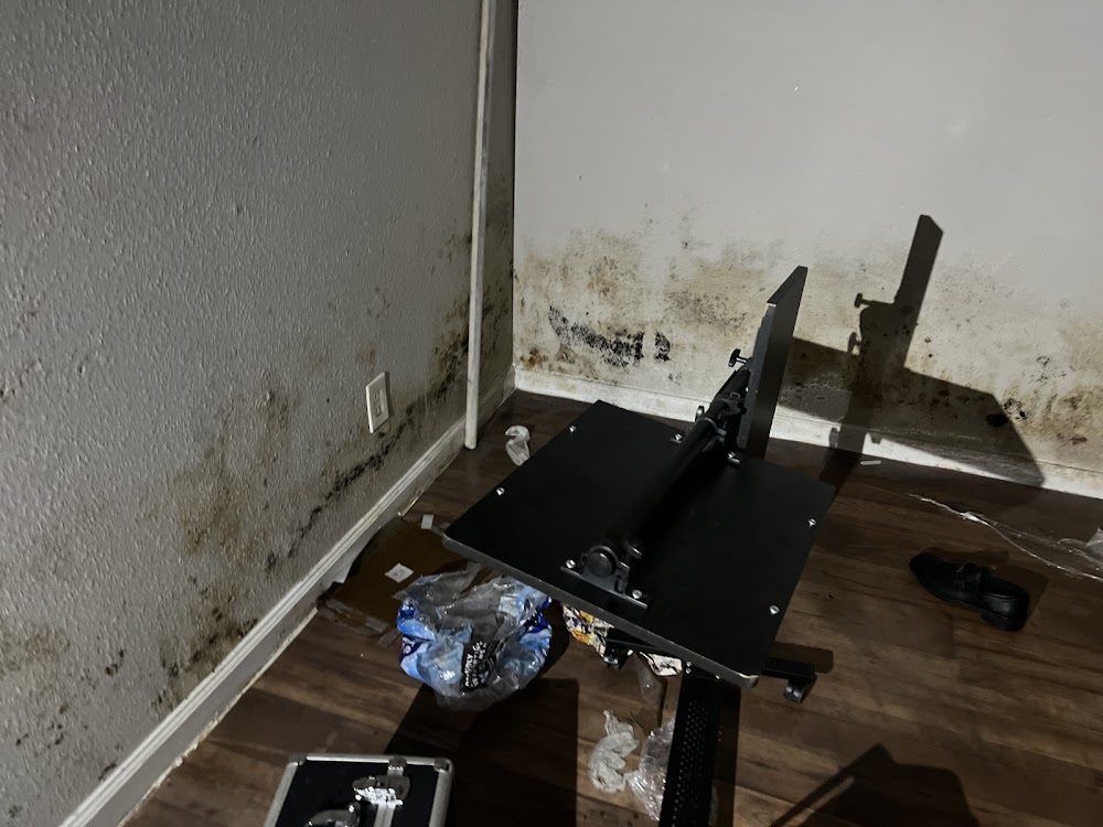 Imagen de la galería 9