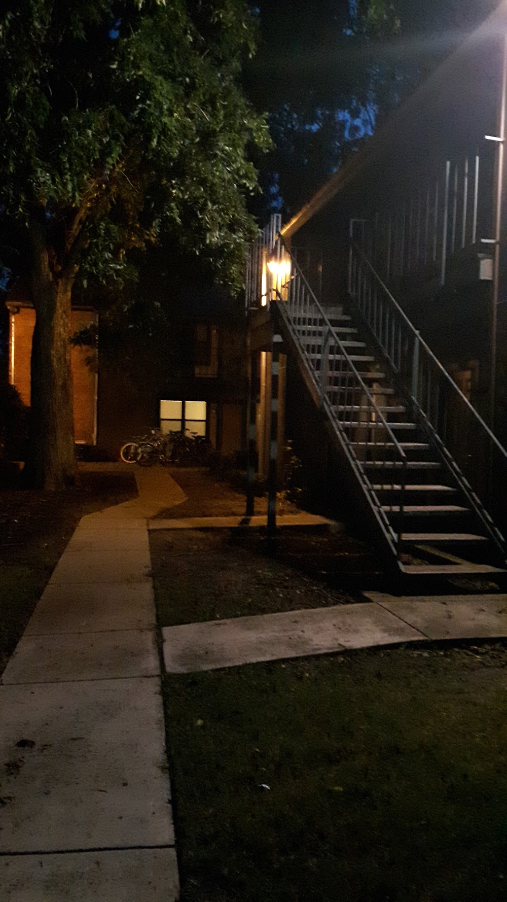 Imagen de la galería 8