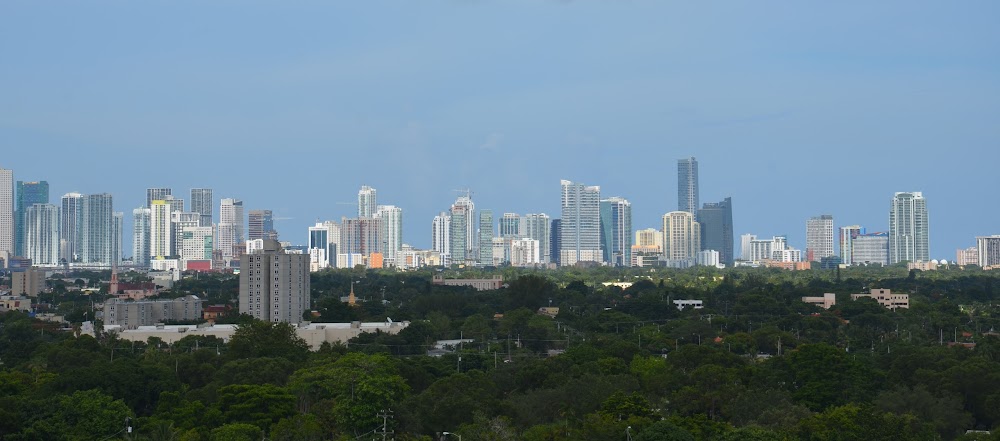 Imagen de la galería 7