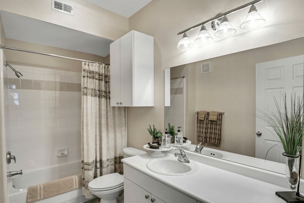Imagen de la galería 8