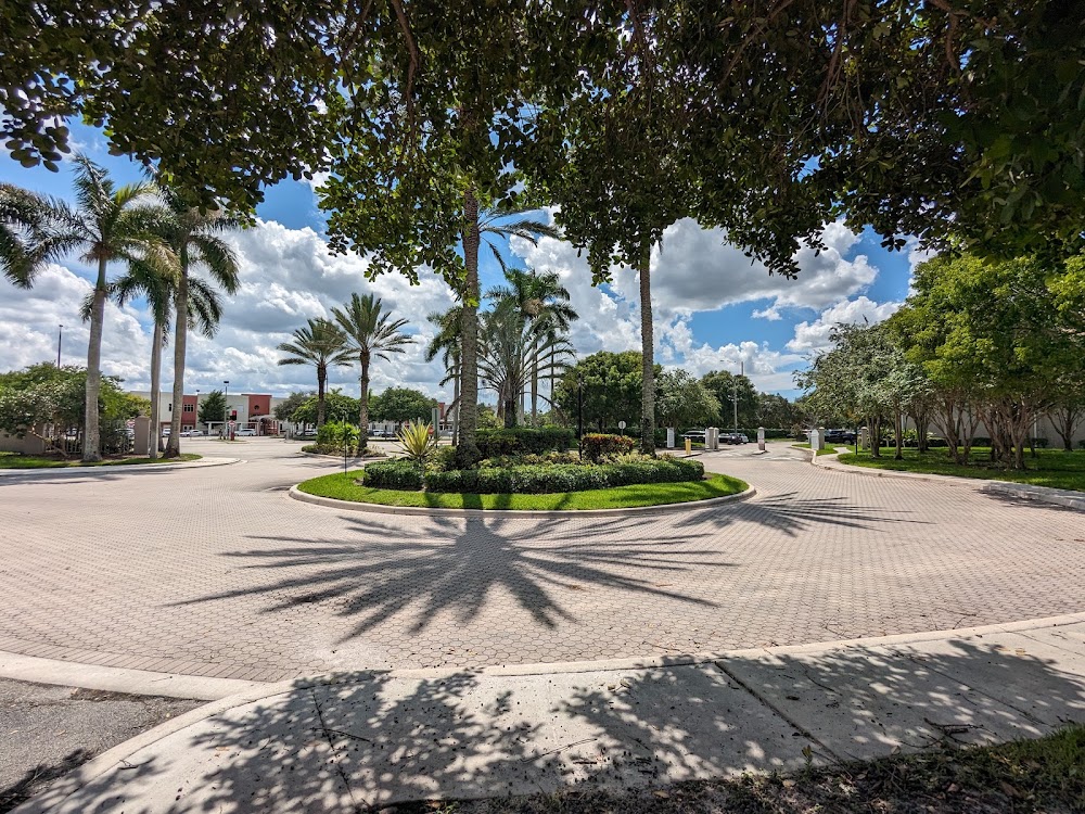 Imagen de la galería 5