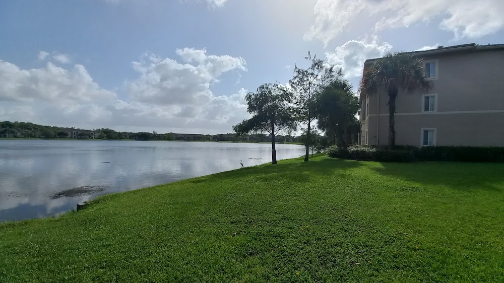 Imagen de la galería 7