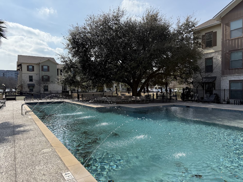 Imagen de la galería 7