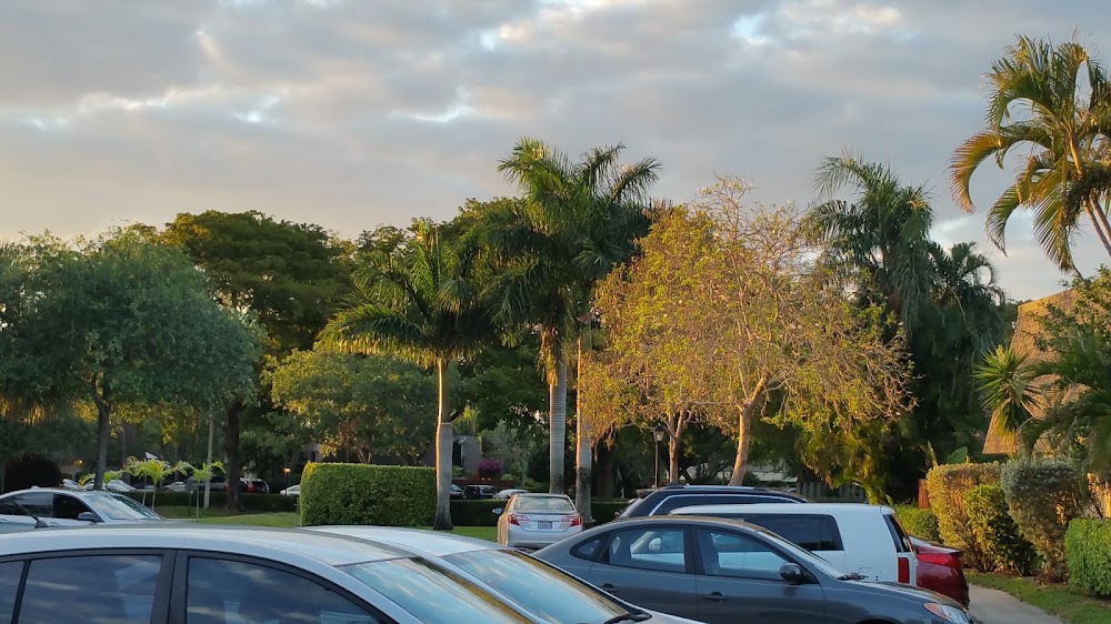 Imagen de la galería 3