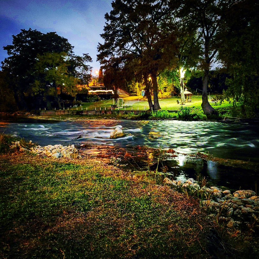 Imagen de la galería 5