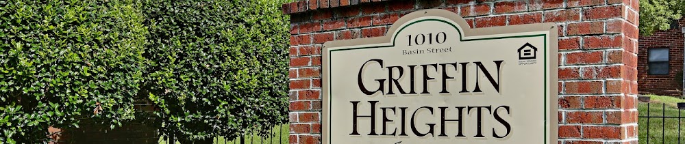 Imagen de la galería 2