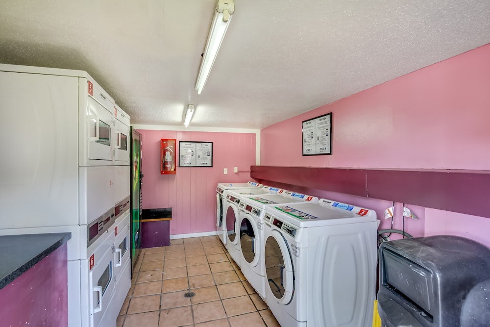 Imagen de la galería 10