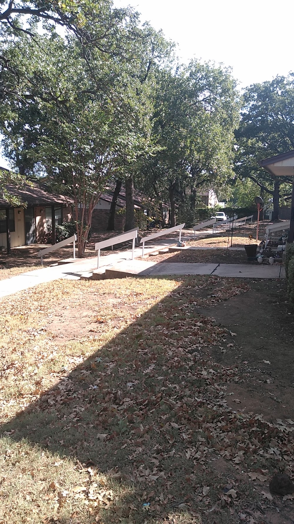 Imagen de la galería 6