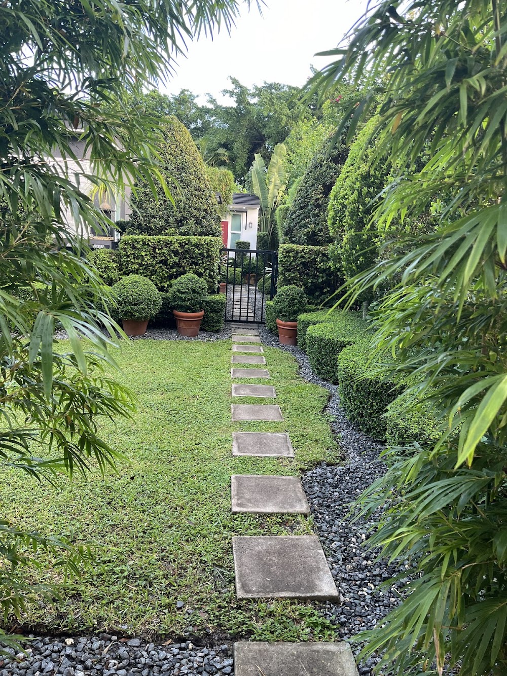 Imagen de la galería 1