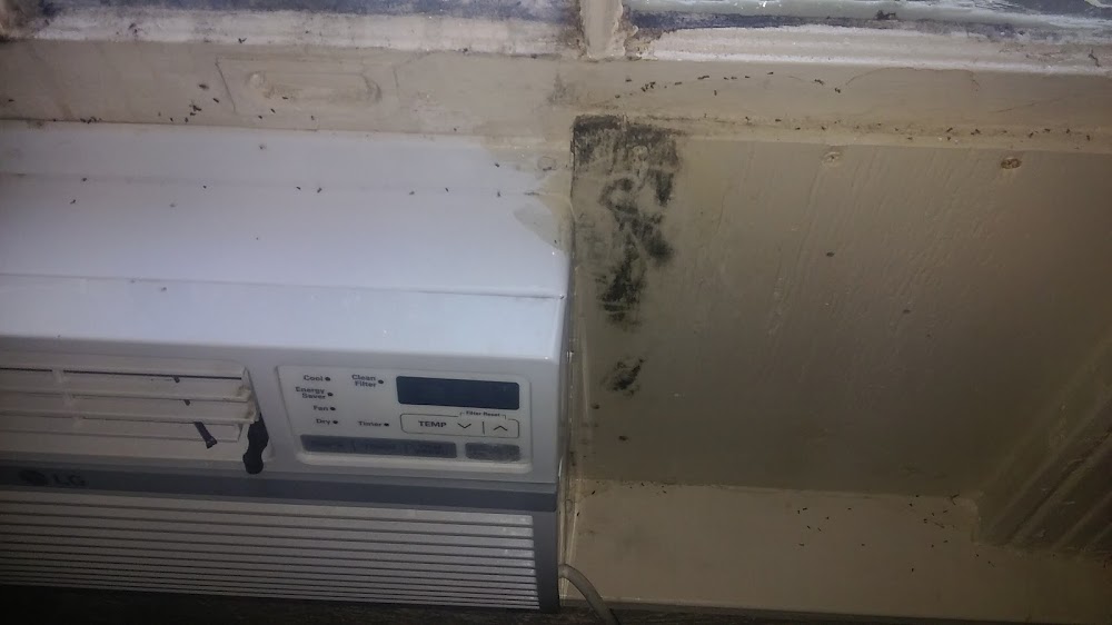 Imagen de la galería 1