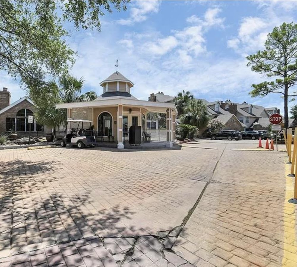 Imagen de la galería 7