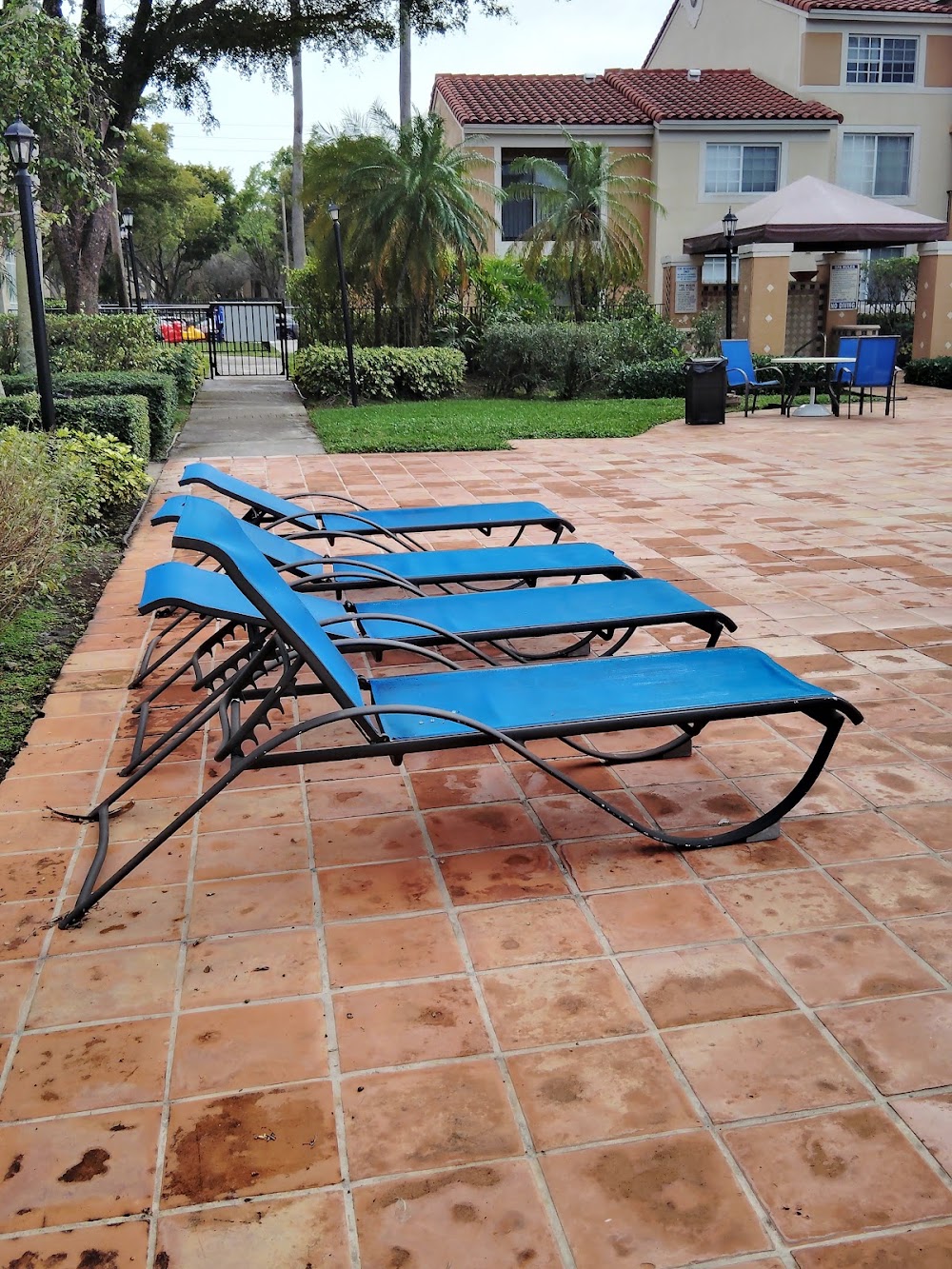 Imagen de la galería 2