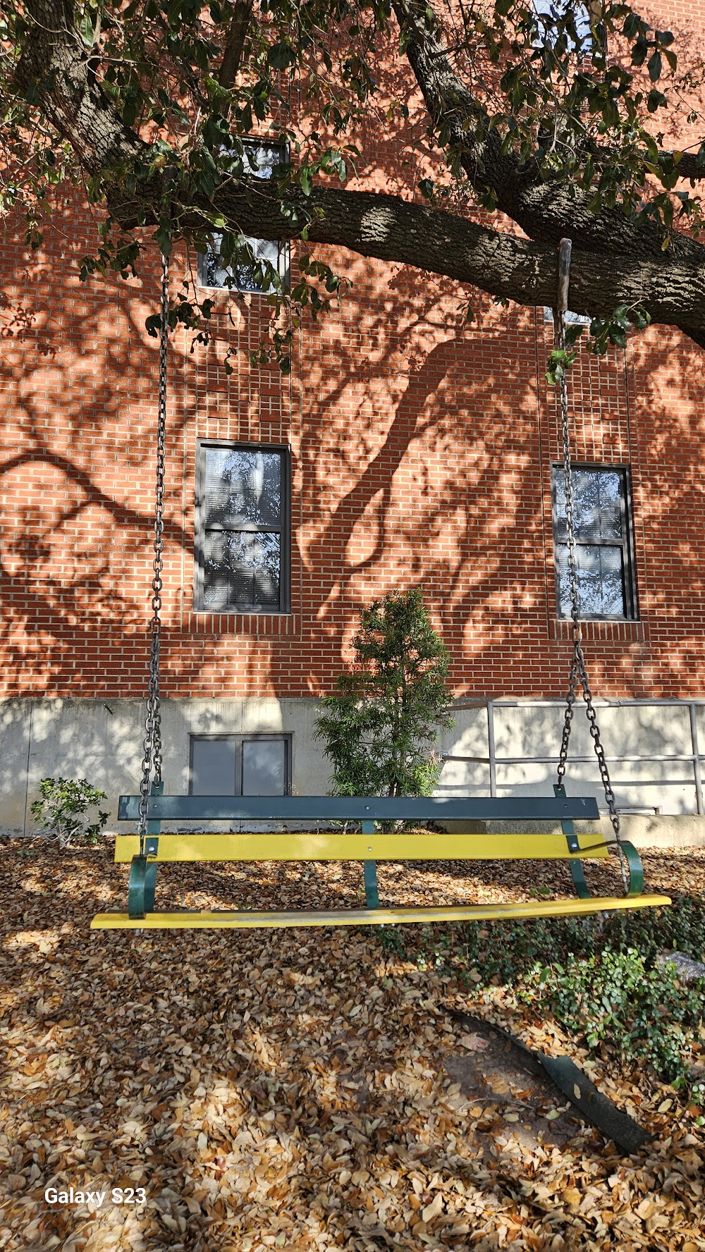 Gallery Image 5