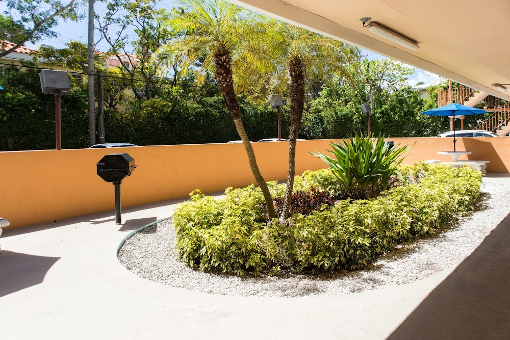 Imagen de la galería 1