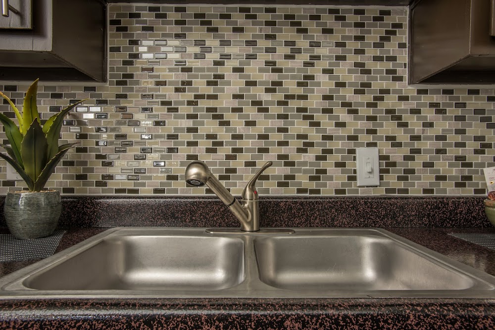 Imagen de la galería 7