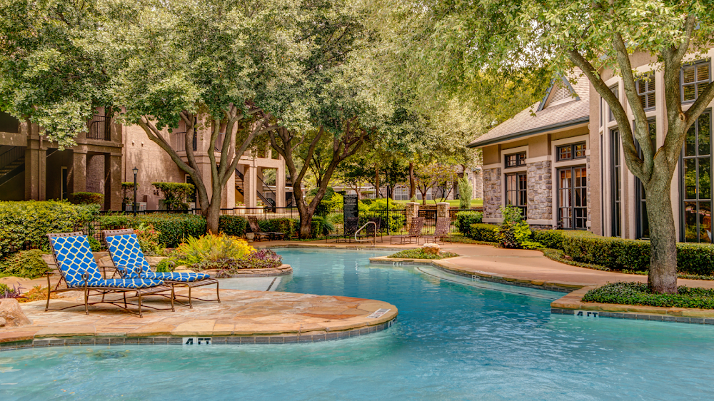 Imagen de la galería 7